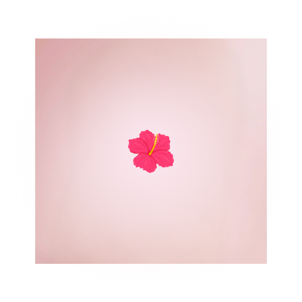 Amapola